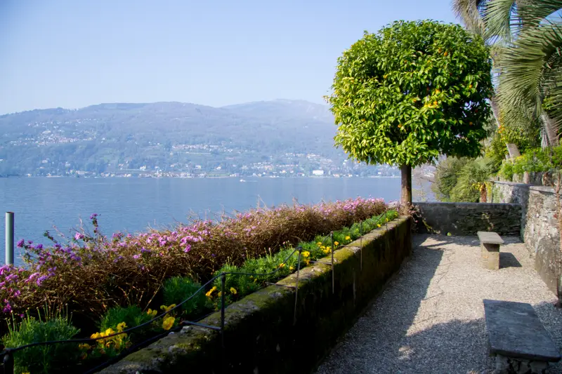 טרסת גן פורחת מעל האגם